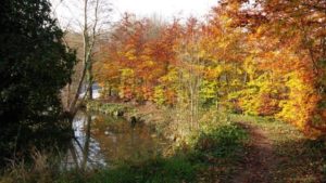 Site de Gévrise en automne à Botz-en-mauges