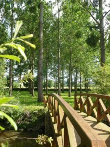 Aire de loisirs et de pêche de la Grand Fosse au Mesnil-en-vallée