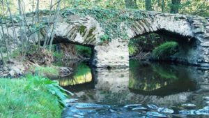 Randonnée Au fil du Laurent à Botz-en-Mauges