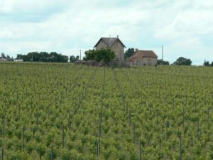 Vignoble la Pommeraye