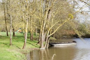 Aire de pique-nique de la Grande Fosse au Mesnil-en-Vallée