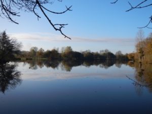 Aire de loisirs et de pêche de la Grand Fosse au Mesnil-en-vallée