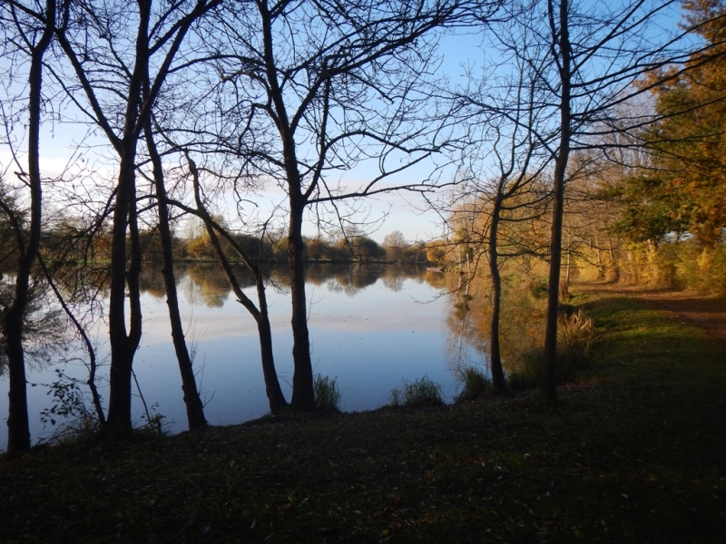 Aire de loisirs et de pêche de la Grand Fosse au Mesnil-en-vallée