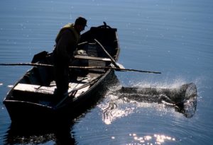 © D.DROUET-pêcheur Montjean