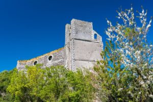 ©D.Drouet-Montjean-sur-Loire