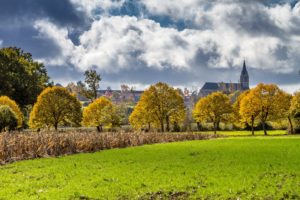 Champs de La Chapelle-Saint-Florent ©D.Drouet