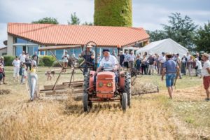 Fête des battages au Moulin de l'Epinay - La Chapelle-Saint-Florent © D.Drouet