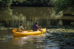 ┬®D.Drouet-canoe_evre_marillais