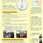 Lettre d'info n°3 - Octobre 2017 - Projet de légumerie à Mauges-sur-Loire