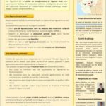 Lettre d'info n°1 - Janvier 2017 - Projet de légumerie à Mauges-sur-Loire