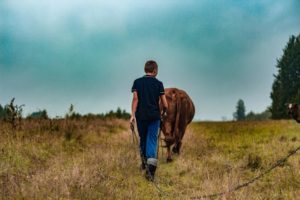 saac agriculture alimentation circuits courts