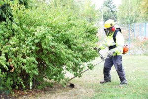 entretien_espace_verts_mauges_sur_loire