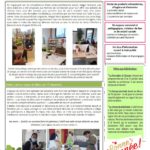 Lettre d'information N°19 - Janvier 2022