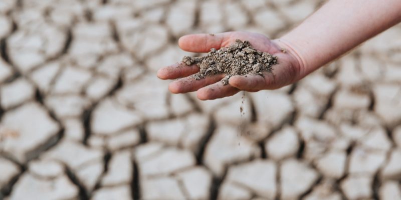 dry-earth-lies-palm-mans-hand