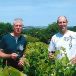 Image de l'article DOMAINE DU HAUT PLESSIS