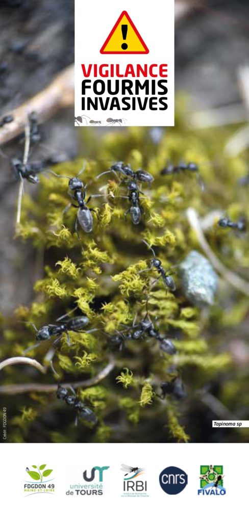 Flyer fourmis invasives GDON Flyer fourmis invasives GDON