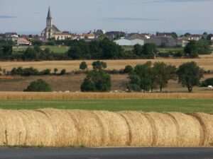 Plan sur des champs de Botz-en-Mauges avec la commune dans le fond