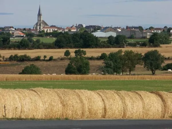 Plan sur des champs de Botz-en-Mauges avec la commune dans le fond