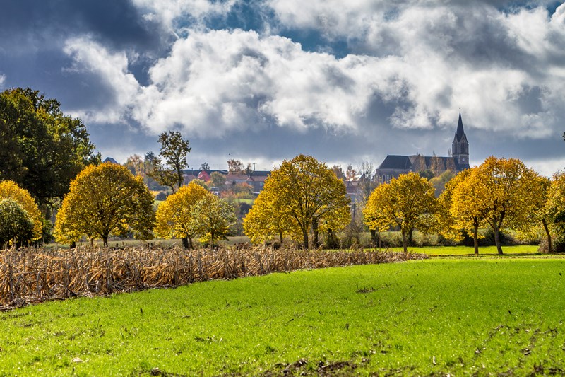 Des champs de la Chapelle-Saint-Florent en automne