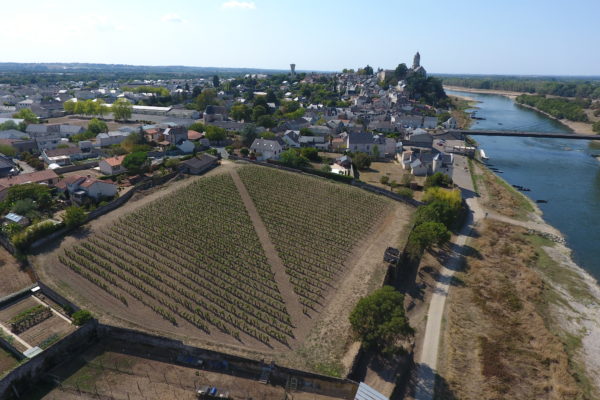 Vue aérienne du clos de vigne Julien Gracq à Saint-Florent-le-Vieil © Association VEPDM - M. Davy