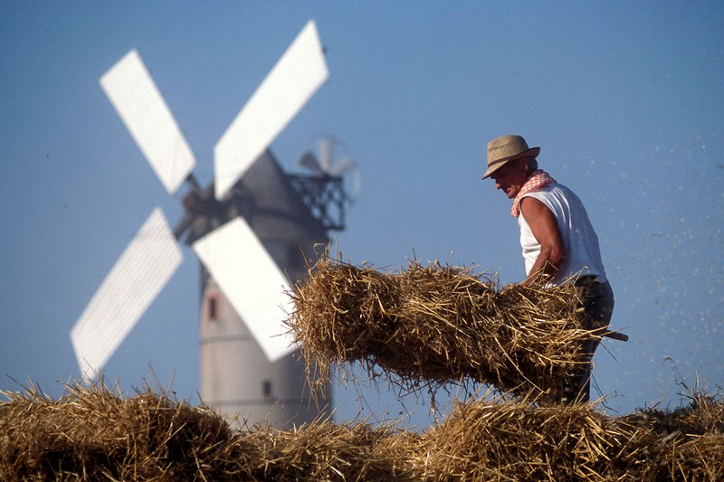 Un homme ramasse le foin devant le Moulin de l'Epinay à l'occasion de la fête des battages