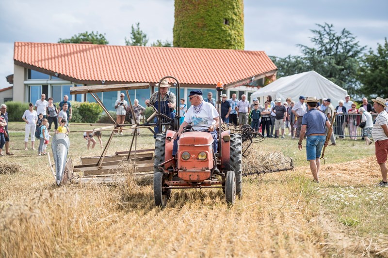 Des habitants de la Chapelle-Saint-Florent à l'occasion de la fête des battages au Moulin de l'Epinay, un homme est sur un tracteur au premier plan