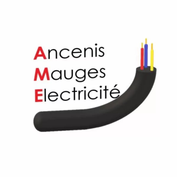Logo de l'entreprise Ancenis Mauges Electricité