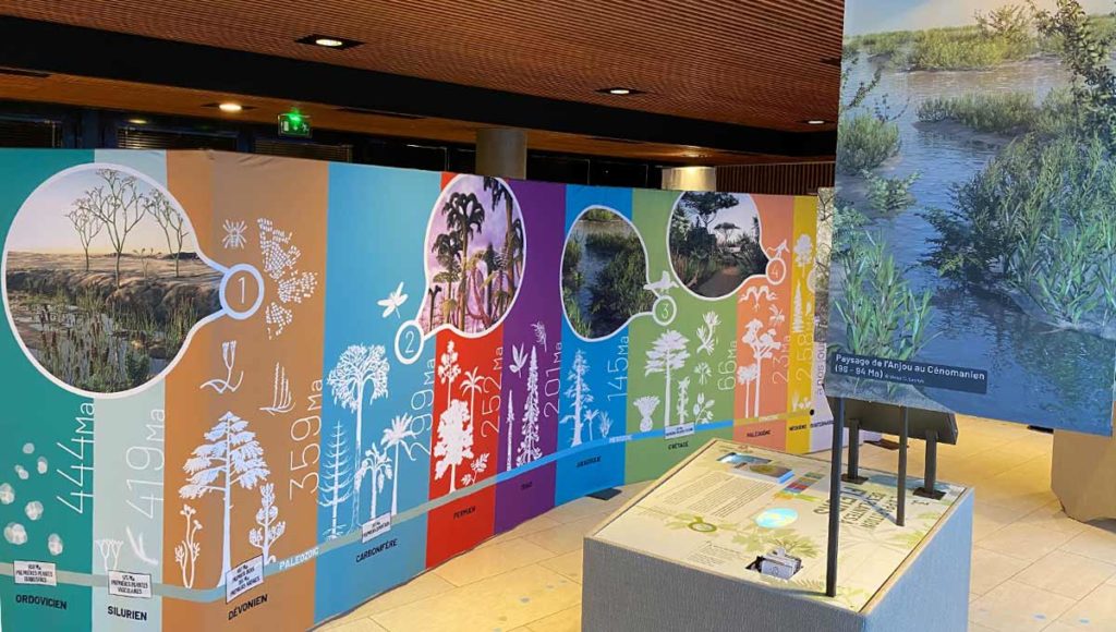 Exposition paléobotanique Racines de l'Anjou à Cap Loire