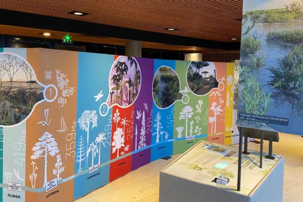 Exposition paléobotanique Racines de l'Anjou à Cap Loire