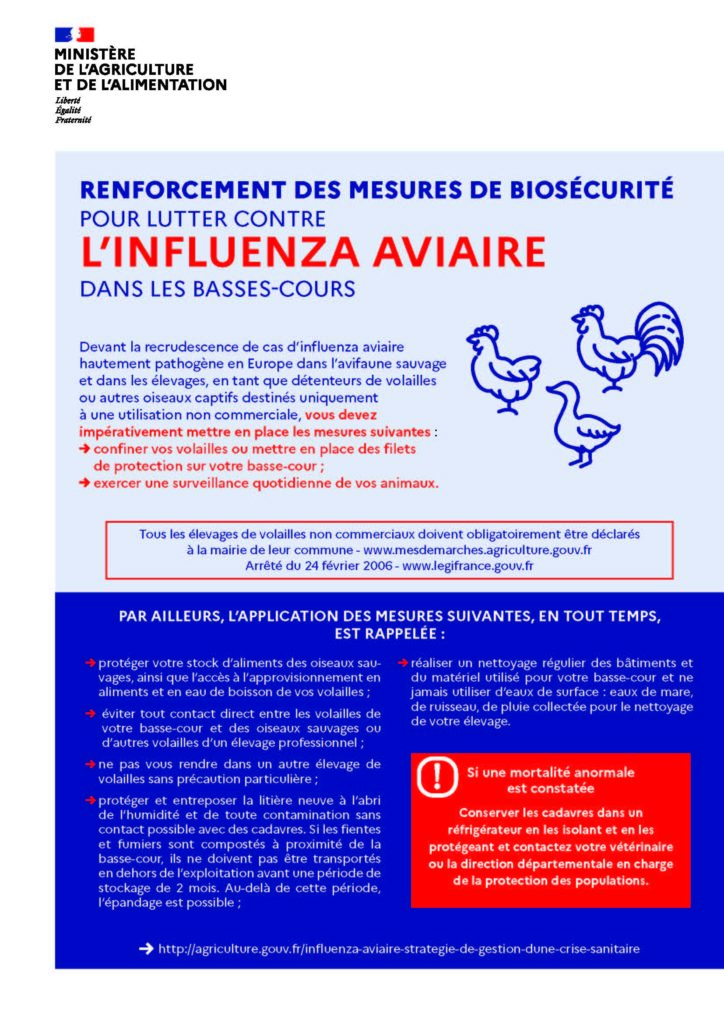 Flyer MAA_Mesures IAHP_ basses-cours déclaration