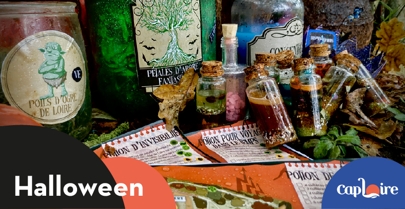 halloween-caploire-animation-défi-potion-caploire-2025-sortie-activité-famille-enfants-automne-vacance-octobre-montjean-sur-loire-angers-nantes-cholet-maine-et-loire-site-de-visite-49-44©caplo