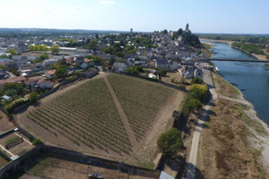 image du dessus du clos de vigne
