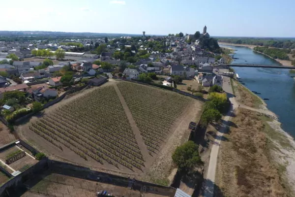image du dessus du clos de vigne