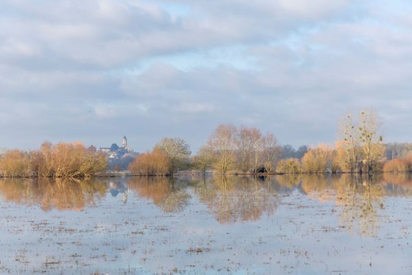 Image de la Loire en inondation