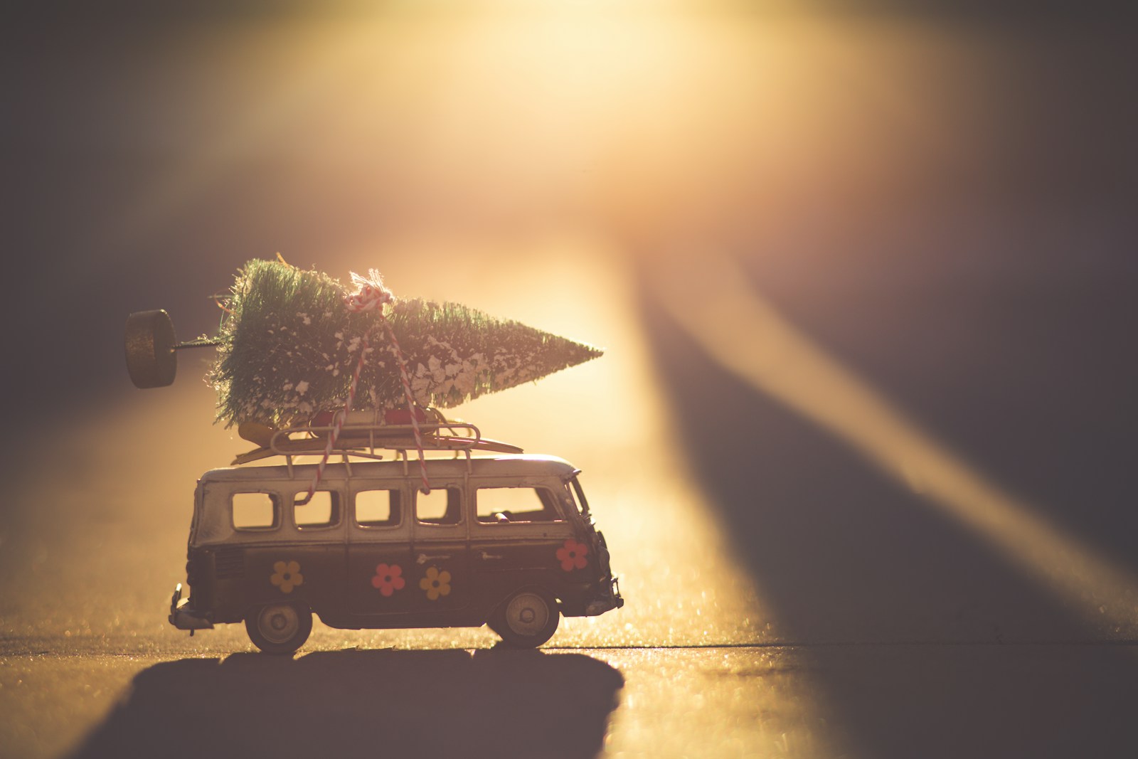 bus avec un sapin de noël sur le toit du bus roulant sur la route