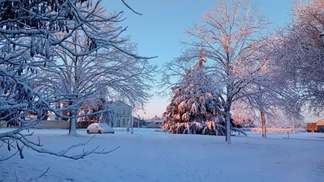 Paysage enneigé de saint florent le vieil