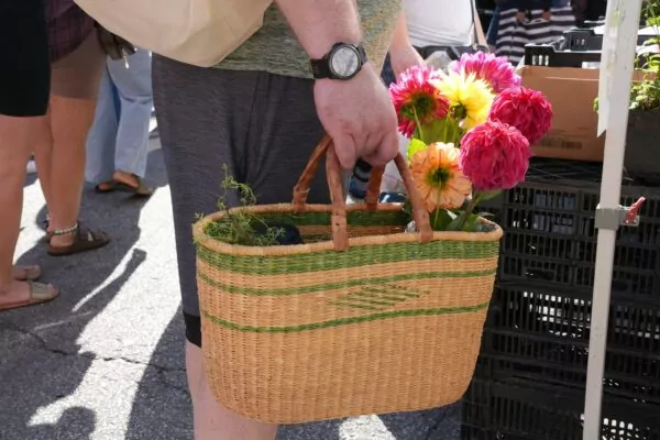 Person holding a basket with colorful flowers
