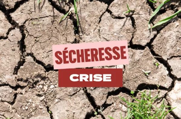Sécheresse : niveau crise ©préfecture du Maine-et-Loire