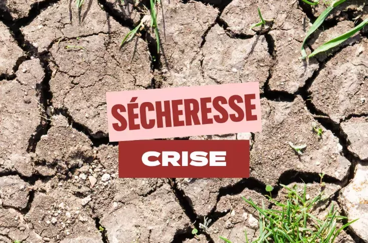 Sécheresse : niveau crise ©préfecture du Maine-et-Loire
