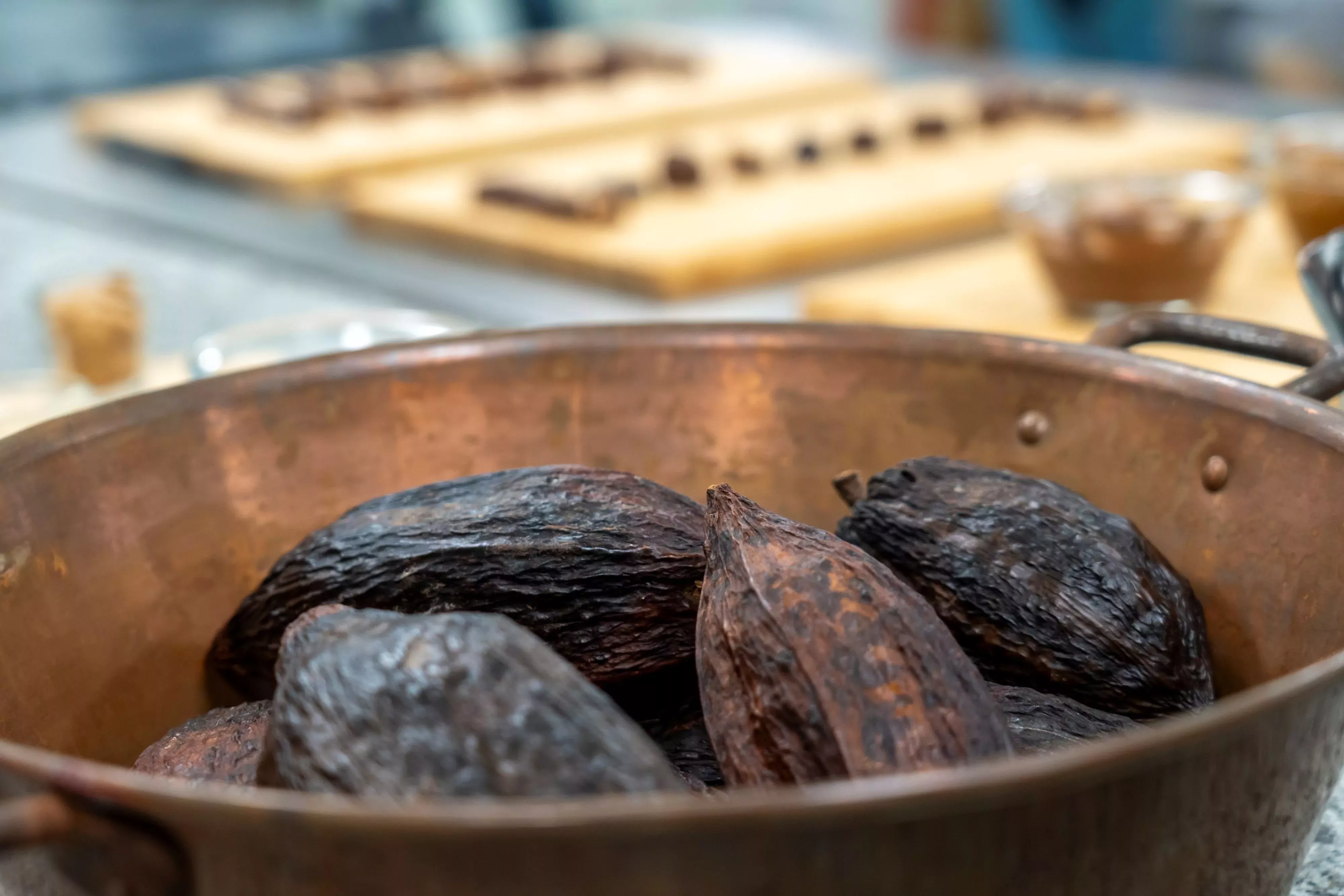 photo de graines de cacao de la chocolaterie cosme à saint-florent-le-vieil